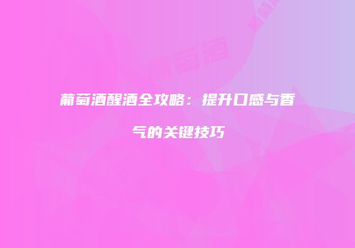 葡萄酒醒酒全攻略：提升口感与香气的关键技巧