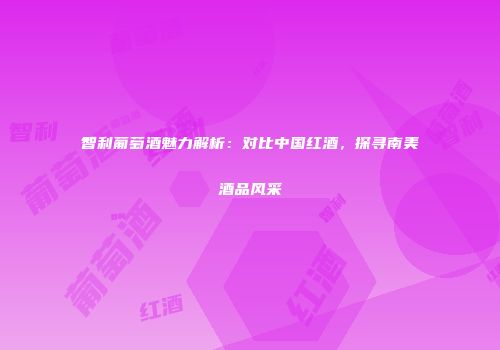 智利葡萄酒魅力解析：对比中国红酒，探寻南美酒品风采
