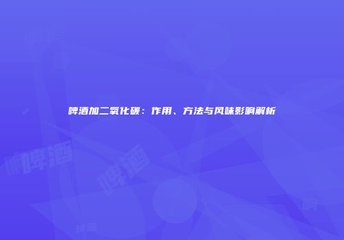 啤酒加二氧化碳：作用、方法与风味影响解析