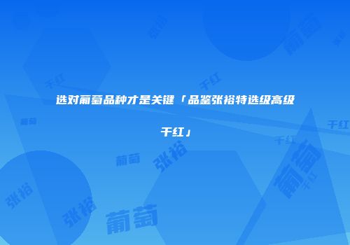 选对葡萄品种才是关键「品鉴张裕特选级高级干红」