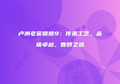卢洲老窖精酿9：传承工艺，品质卓越，香醇之选