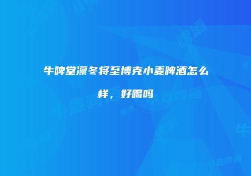 牛啤堂凛冬将至博克小麦啤酒怎么样，好喝吗