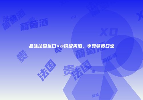 品味法国进口XO顶级美酒，享受尊贵口感