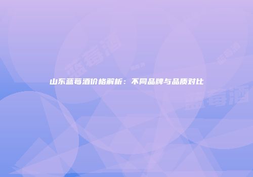 山东蓝莓酒价格解析：不同品牌与品质对比