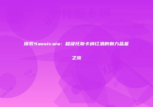 探索Sassicaia：超级托斯卡纳红酒的魅力品鉴之旅