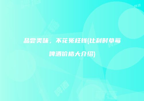 品尝美味，不花冤枉钱(比利时草莓啤酒价格大介绍)