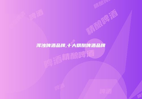 浑浊啤酒品牌,十大精酿啤酒品牌