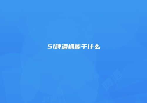 5l啤酒桶能干什么