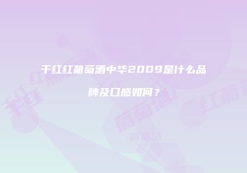 干红红葡萄酒中华2009是什么品牌及口感如何？