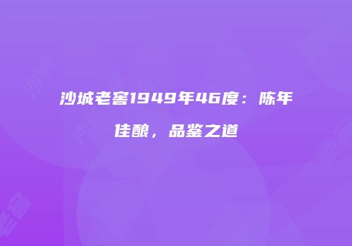 沙城老窖1949年46度：陈年佳酿，品鉴之道