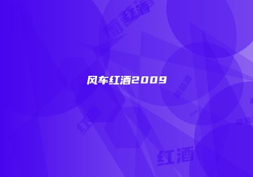 风车红酒2009