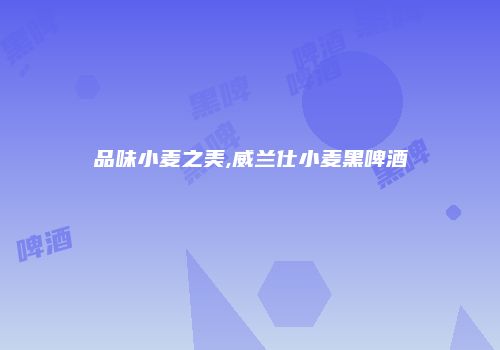 品味小麦之美,威兰仕小麦黑啤酒