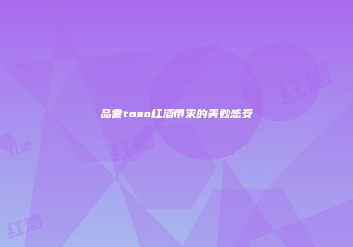 品尝toso红酒带来的美妙感受