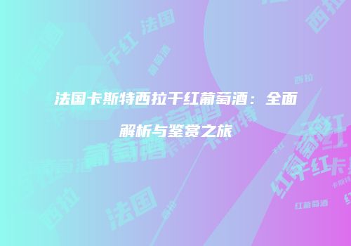 法国卡斯特西拉干红葡萄酒：全面解析与鉴赏之旅
