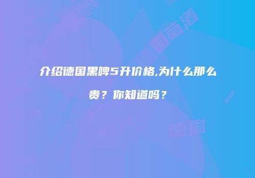 介绍德国黑啤5升价格,为什么那么贵？你知道吗？