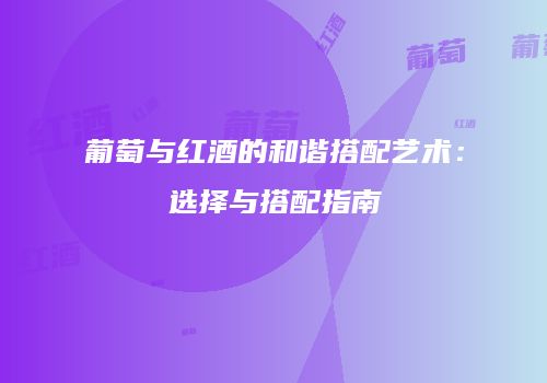 葡萄与红酒的和谐搭配艺术：选择与搭配指南