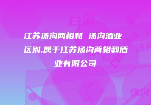 江苏汤沟两相和 汤沟酒业 区别,属于江苏汤沟两相和酒业有限公司