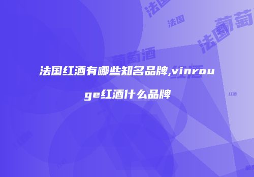 法国红酒有哪些知名品牌,vinrouge红酒什么品牌