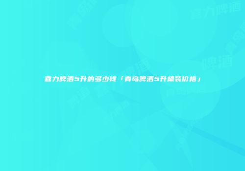 喜力啤酒5升的多少钱「青岛啤酒5升桶装价格」