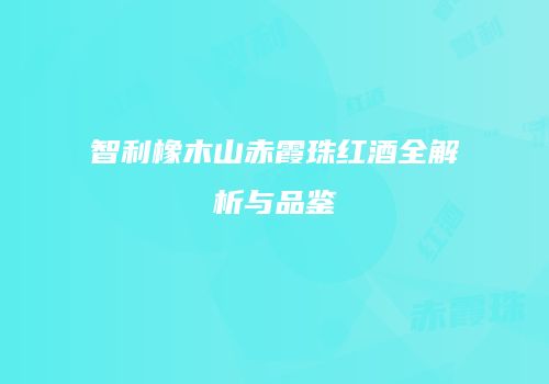 智利橡木山赤霞珠红酒全解析与品鉴