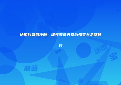 法国白葡萄佳酿：探寻美食天堂的瑰宝与品鉴技巧