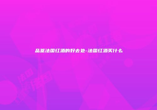 品鉴法国红酒的好去处-法国红酒买什么