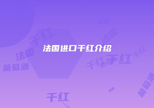 法国进口干红介绍