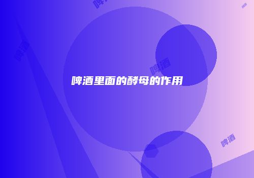 啤酒里面的酵母的作用