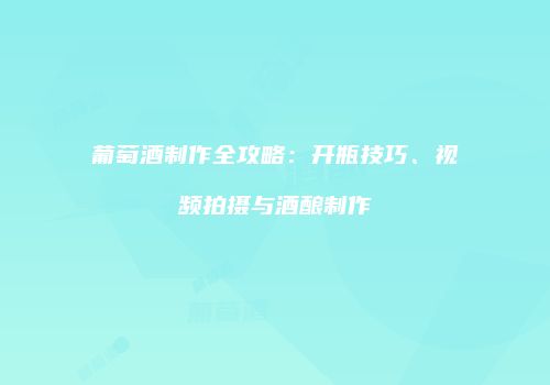 葡萄酒制作全攻略：开瓶技巧、视频拍摄与酒酿制作