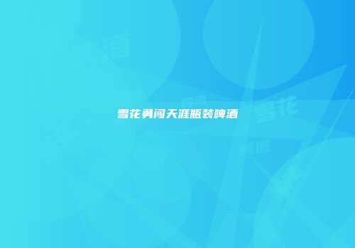 雪花勇闯天涯瓶装啤酒