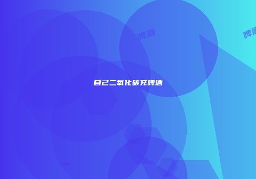 自己二氧化碳充啤酒