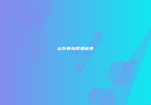 山东青岛啤酒种类