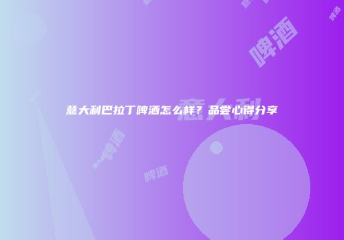 意大利巴拉丁啤酒怎么样？品尝心得分享