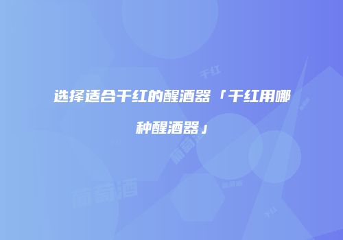 选择适合干红的醒酒器「干红用哪种醒酒器」