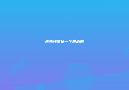 青岛纯生是一个啤酒吗