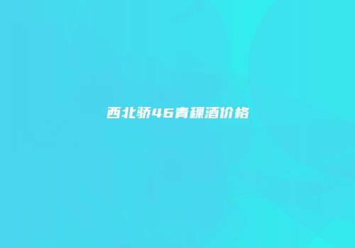 西北骄46青稞酒价格