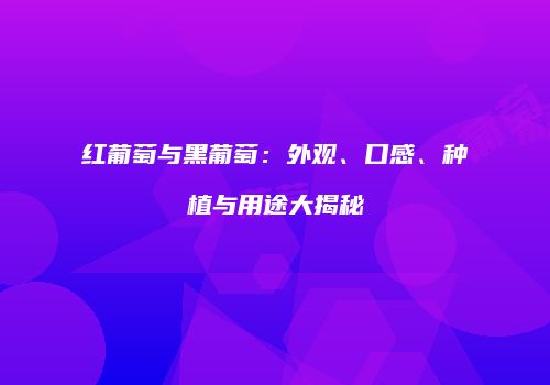 红葡萄与黑葡萄：外观、口感、种植与用途大揭秘