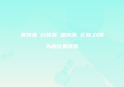 黄啤酒 白啤酒 黑啤酒 区别,白啤为啥比黄啤贵