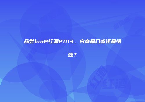 品尝bin2红酒2013，究竟是口感还是情感？