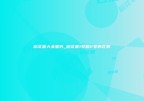 稻花香大米图片_稻花香1号和2号的区别