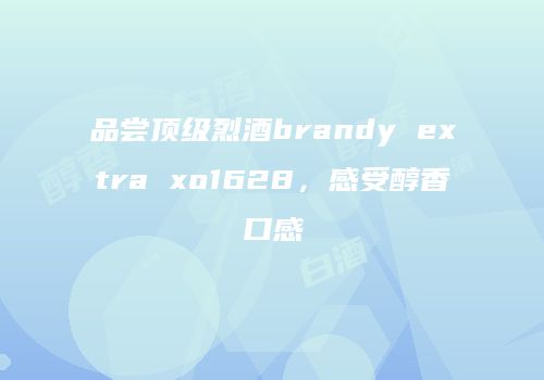 品尝顶级烈酒brandy extra xo1628，感受醇香口感