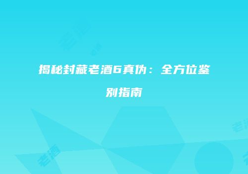 揭秘封藏老酒6真伪：全方位鉴别指南