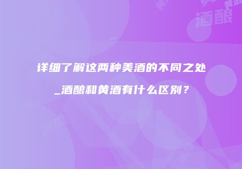 详细了解这两种美酒的不同之处_酒酿和黄酒有什么区别？
