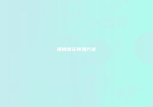 推销雪花啤酒方案