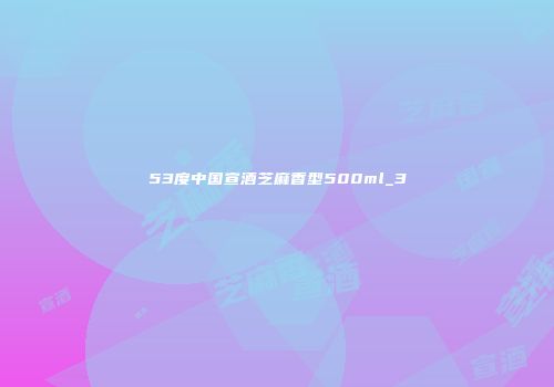 53度中国宣酒芝麻香型500ml_3