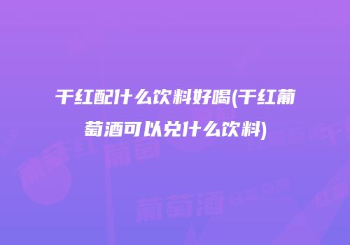 干红配什么饮料好喝(干红葡萄酒可以兑什么饮料)