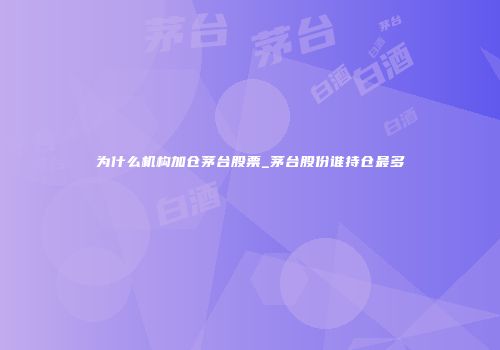 为什么机构加仓茅台股票_茅台股份谁持仓最多