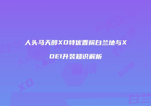 人头马天醇XO特优香槟白兰地与XOE1升装知识解析