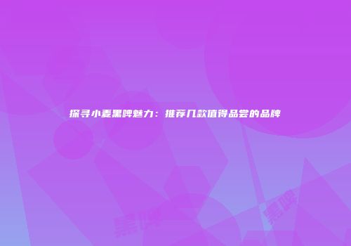 探寻小麦黑啤魅力：推荐几款值得品尝的品牌