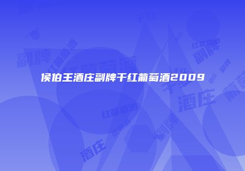 侯伯王酒庄副牌干红葡萄酒2009